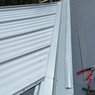 Metal Roofing