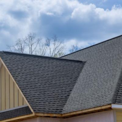 Shingle Roof Daytona